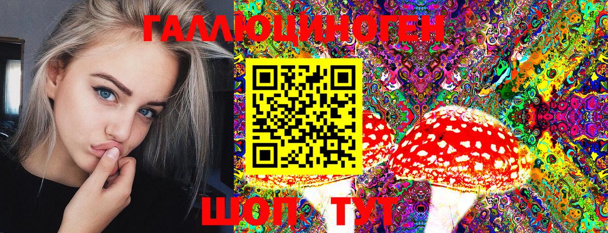 Псилоцибиновые грибы Psilocybine cubensis  Вход с VPN  наркотики  Галлюциногенные грибы Cubensis  Россия 